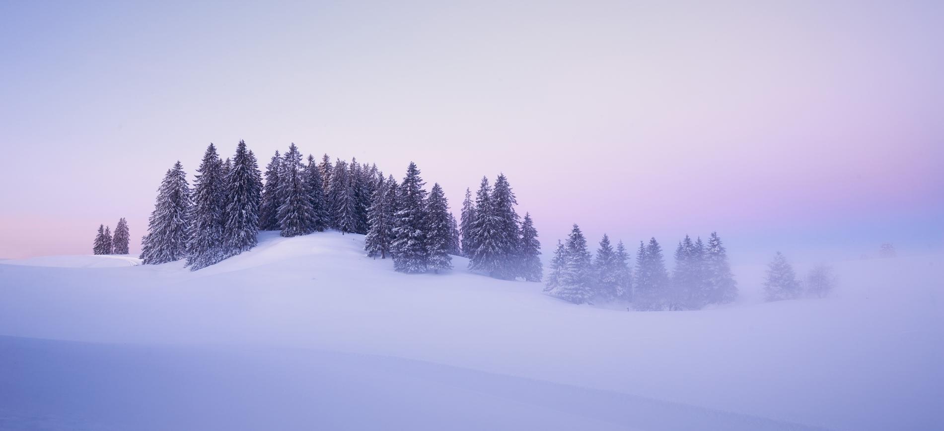 瑞士冬雪挪威峡湾静谧的河流榕树路薄雾仙境山谷秋天的颜色自然风景