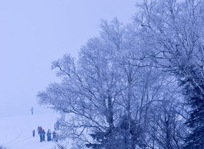 雪乡晨雾一套很有意境的雪景图片